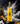 F28 Pineapple Caribbean Rum