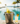 Poolside Luxury